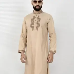 Elegant Festive Punjabi